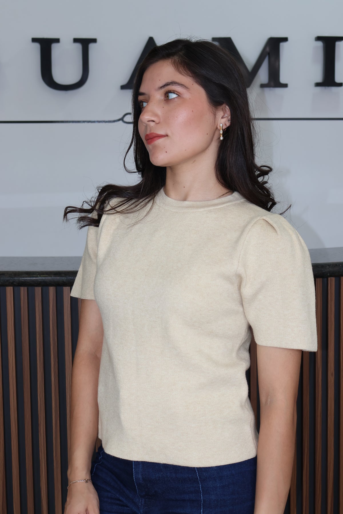 Sueter pullover beige