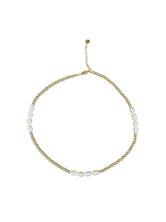 Collar Dual Touch
